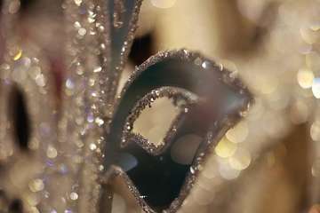 Lola Ortíz, representante de la firma teldense Tapicería Peñate, nueva Reina del Carnaval de la capital grancanaria/TA y Lpacarnaval.